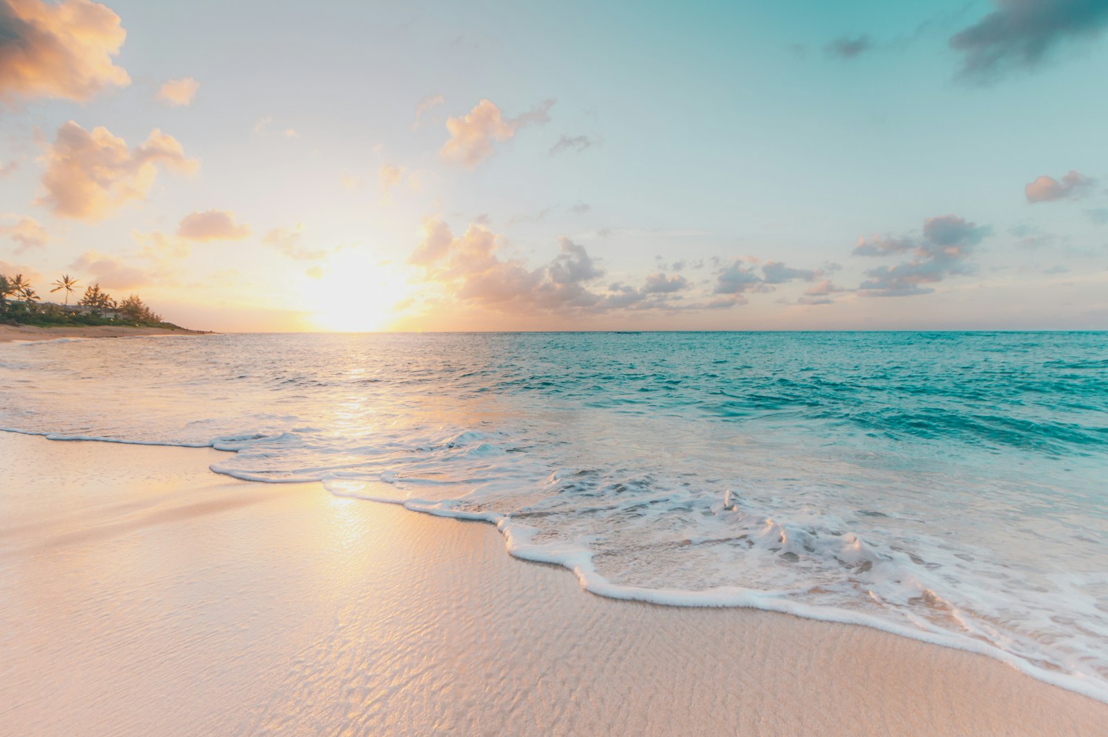 Coastal traveller viewpoint at golden hour with soft ocean light.